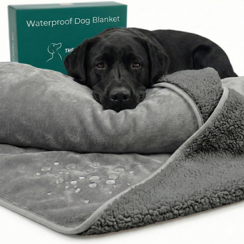 The Happy Dog Company manta impermeable para perros grandes vista frontal protege el sofá.