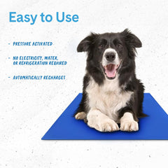 THEGREENPETSHOP Chillz Gel Mat grande para viaje, portátil y fácil de guardar.