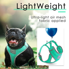 ThinkPet arnés malla aire ventilada atrás, mantiene frescura durante paseos largos.