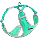 ThinkPet arnés reflectante de malla aire para mascota en azul verdoso