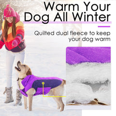 ThinkPet jaqueta para perros, interior acolchado, mayor confort y calor suave.