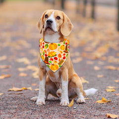 Bandanas THLOH reversibles con dos diseños en una sola bandana para variar looks.