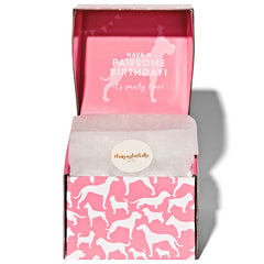 Thoughtfully Pets diseño princesa hecho a mano en pastel para perros