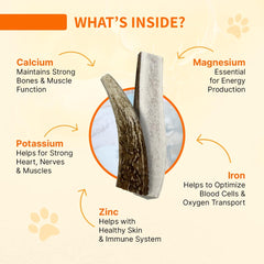 Tibetan Dog Chew: asta tibetana duradera para masticadores agresivos.