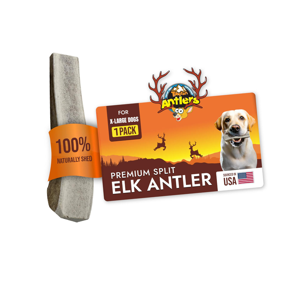 Tibetan Dog Chew: asta tibetana para perros extragrandes, limpieza dental natural.