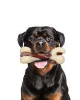 Tikaton Hueso resistente para masticar, ideal para perros activos.