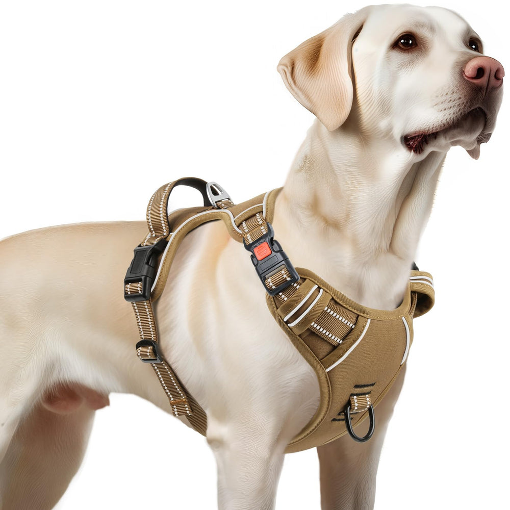 Arnés Timos para perros grandes con clip frontal para paseos seguros.