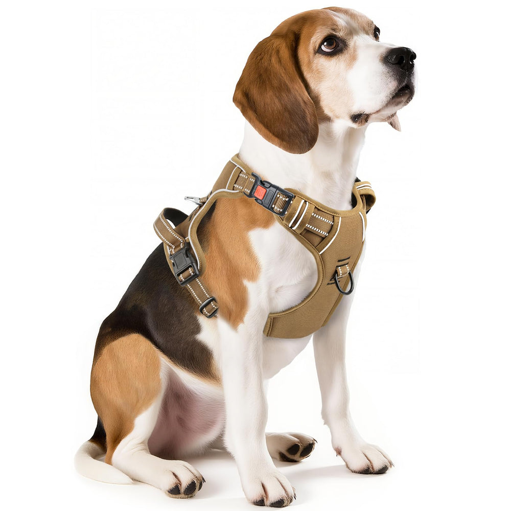 Arnés Timos para perro mediano con hebillas rápidas, fácil de poner.
