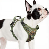 Arnés Timos para perro pequeño con hebillas rápidas, fácil de poner.