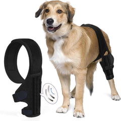 Rodillera para perros Tinzum S con ajuste ajustable y soporte estable para la rodilla.