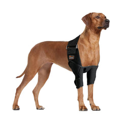 TIPOOP codera de codo para perro con doble acolchado, confort y soporte.