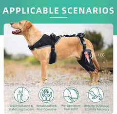 TIPOOP protector de rodilla para perro tejido SBR y malla transpirable.
