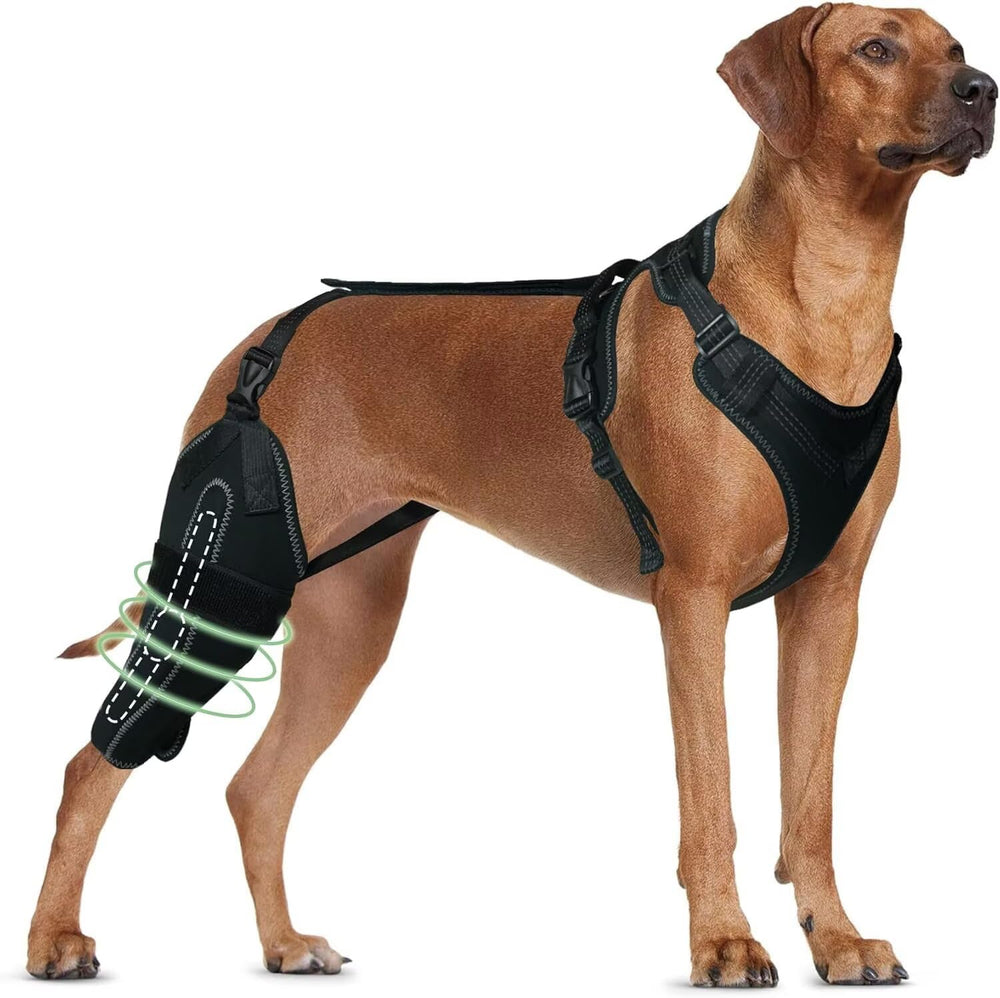 TIPOOP rodilla de perro, ajuste ergonómico para caminatas más estables.