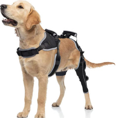 TIPOOP rodillera para perro con diseño integrado pecho y espalda, ofrece mayor estabilidad