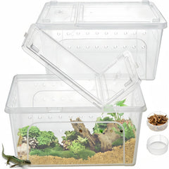 Tlence cajas-alimentacion-reptiles-transparente para observar conductas durante la comida