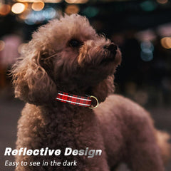 TMOODEL collar ajustable para perros grandes, ajuste cómodo y fiable.