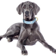 TMOODEL collar nylon reflectante para perro grande en azul, visibilidad mejorada.