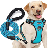 tobeDRI correa-perro-sin-tirones-frontal, control suave en paseos