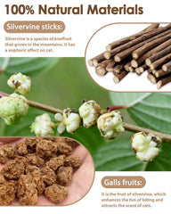 Tocirelo palitos silvervine para gatos con pluma y campana, estímulo sensorial