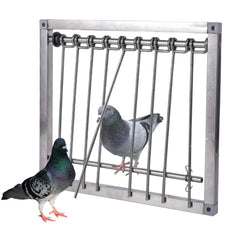 TOHONGADON trampa para pájaros, puerta una vía para evitar escapes y captura fácil
