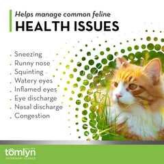 Tomlyn lisina para gatos, el gato toma el masticable con facilidad.