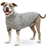 Tooth & Honey camisa para perro con rayas algodón y spandex, ajuste cómodo para paseos.