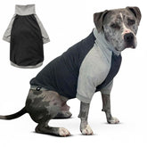 Tooth & Honey camiseta para perro grande en algodón-spandex, diseño cómodo para paseos diarios.