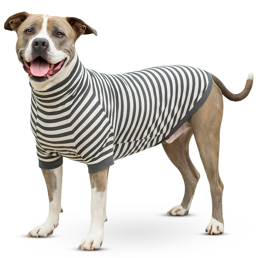 Tooth & Honey camiseta para perro mediano con rayas, comodidad en paseos.