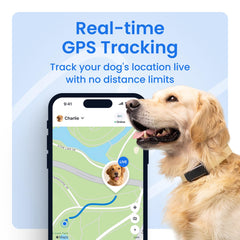 Tractive seguimiento en tiempo real para perros mostrando ruta y ubicación actual