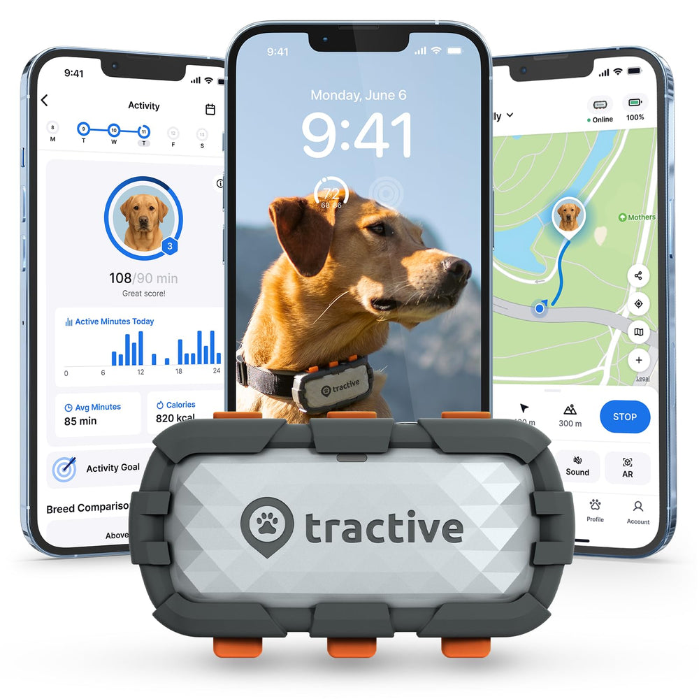 Tractive XL rastreador GPS para perro,localización en vivo y alcance global.