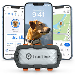 Tractive XL rastreador GPS para perro,localización en vivo y alcance global.