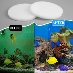 Almohadilla de pulido Tranqun para Fluval Fx4, diseño fácil de instalar.