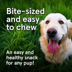 TRMC jerky venado para perros, snack alto en proteína para premiar logros