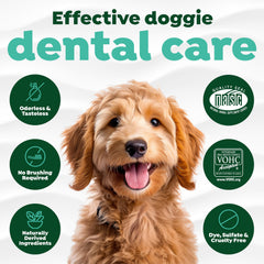 TropiClean perro bebiendo agua con aditivo para aliento más fresco.