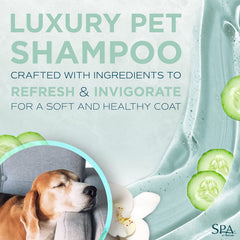 TropiClean SPA Lavish: limpieza de salón para perros.