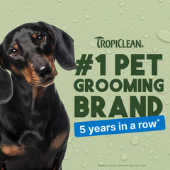 TropiClean spray desodorante para perros: elimina olores y deja el pelo suave.