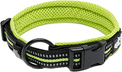 TRUE LOVE Truelove collar reflectivo con hebilla Duraflex para visibilidad nocturna.
