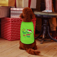 Disfraz Tsorode para perros, perfecto para sesiones fotográficas festivas.