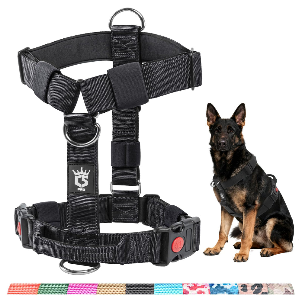 Arnés TSPRO con ajuste ergonómico para caminatas y entrenamientos.