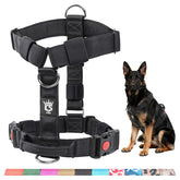 Arnés TSPRO con ajuste ergonómico para caminatas y entrenamientos.
