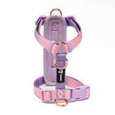 Arnés TSPRO Rosa-Púrpura degradado para paseos llamativos y confortables.