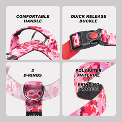 Anillas en forma de D tspro para entrenamiento y accesorios.