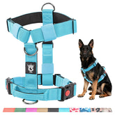 Arnés táctico tspro para perro azul visto de frente, ajuste cómodo para caminatas.