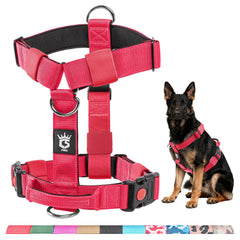 Arnés táctico TSPRO con ajuste cómodo para caminatas y entrenamiento.