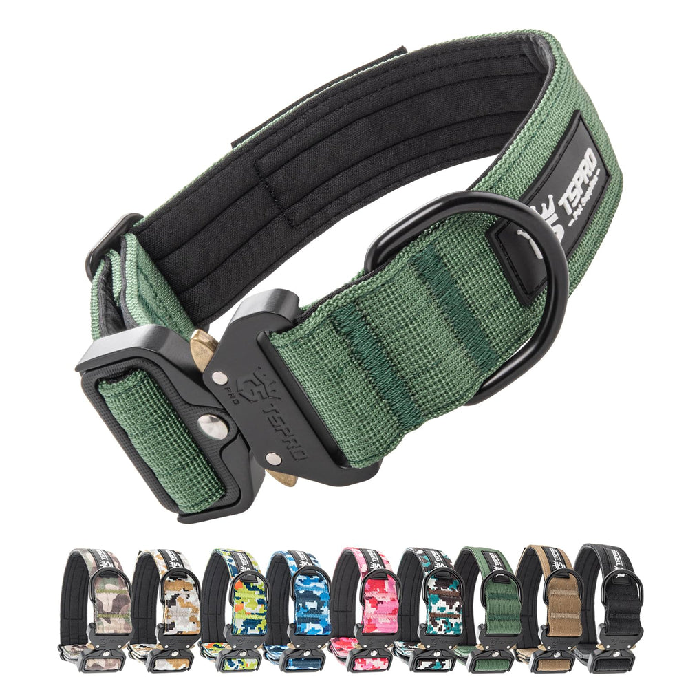 Collar TSPRO para perro con cierre rápido en verde, ideal para paseos diarios