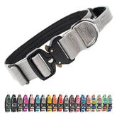 Collar TSPRO con asa manejable para control seguro durante paseos