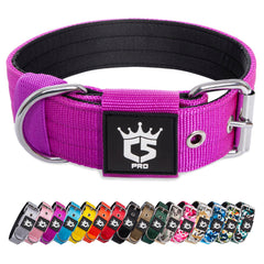 Collar TSPRO 1,5-pulgadas púrpura con anillo en D para correa segura.