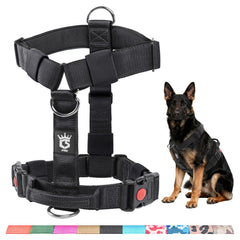 Arnés táctico TSPRO Premium para perros medianos y grandes con control seguro.