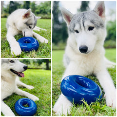 Tuff Pupper, anillo azul de alto contraste para mejor visibilidad.