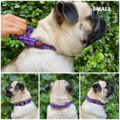 Collar acolchado de neopreno interior Tuff Pupper para mayor comodidad